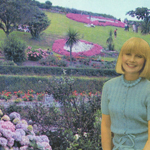 Ilfracombe's Colourful Gardens