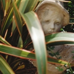 Garden, Image Four
